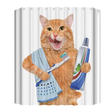 Colorful Shower Curtain