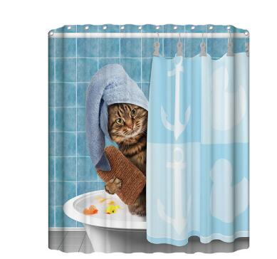 Colorful Shower Curtain